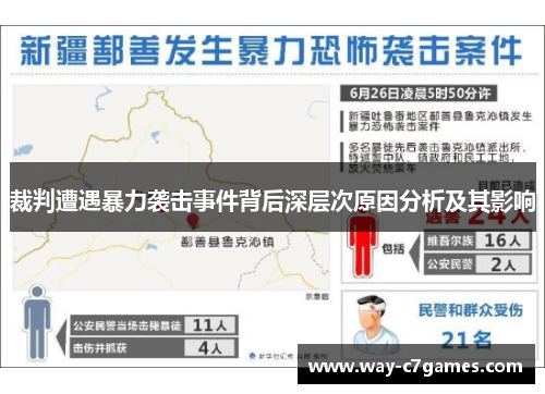 裁判遭遇暴力袭击事件背后深层次原因分析及其影响