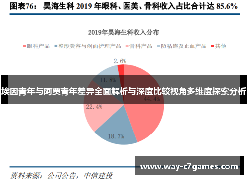 埃因青年与阿贾青年差异全面解析与深度比较视角多维度探索分析