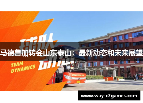 马德鲁加转会山东泰山：最新动态和未来展望