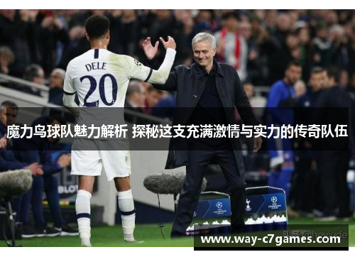 魔力鸟球队魅力解析 探秘这支充满激情与实力的传奇队伍