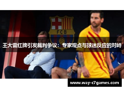 王大雷红牌引发裁判争议:专家观点与球迷反应的对峙 王大雷红牌引发裁判争议:专家观点与球迷反应的对峙