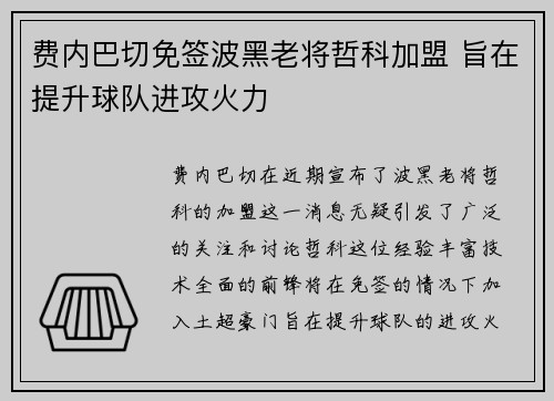费内巴切免签波黑老将哲科加盟 旨在提升球队进攻火力